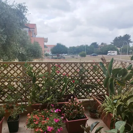 דירה Lovely Flat אלגהרו